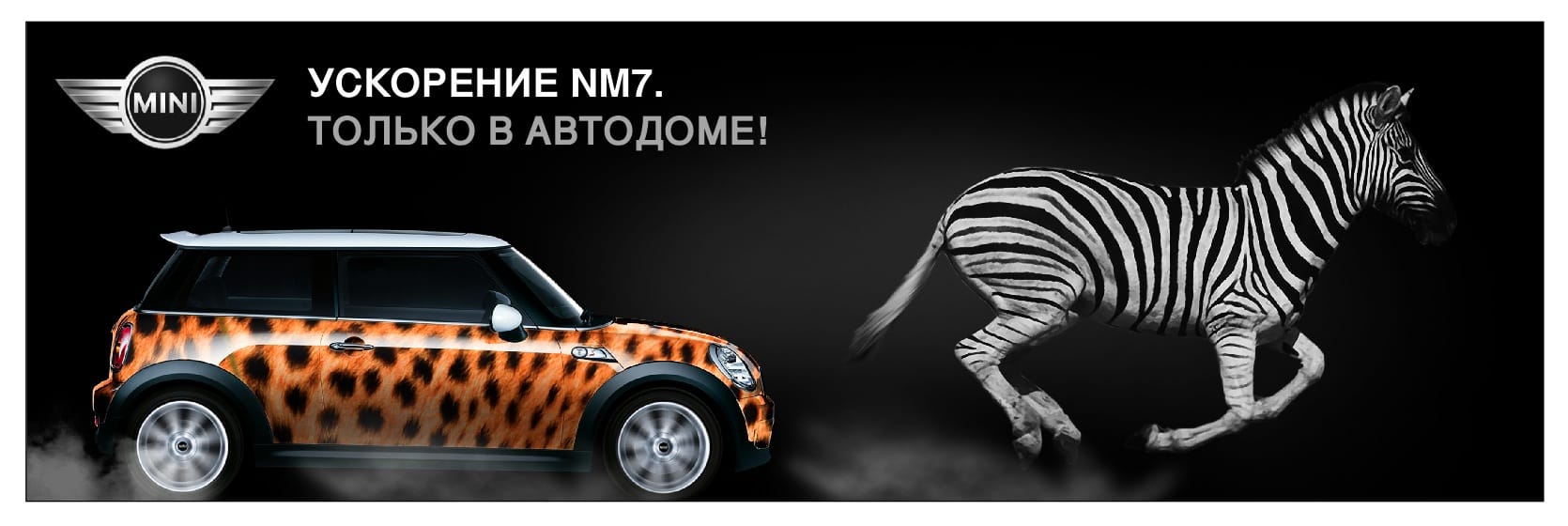 MINI разработка рекламы